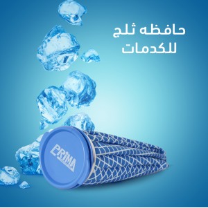 حافظه تلج للكدمات
